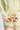 **Beeswax**