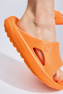 Warm Orange