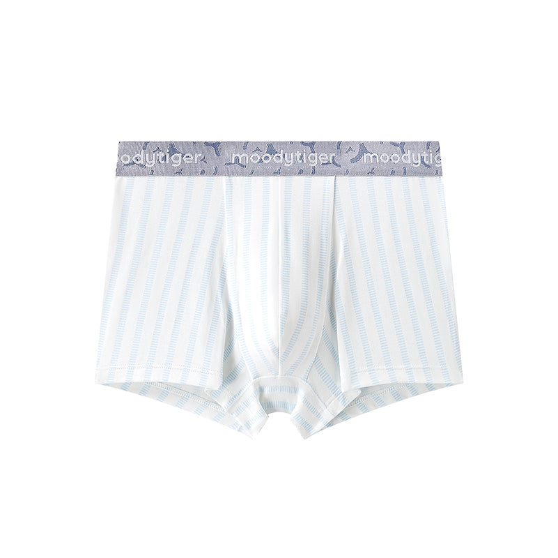 **Stripe Blue**
