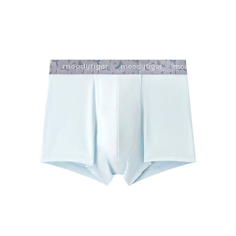 **Stripe Blue**